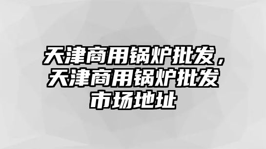 天津商用鍋爐批發(fā)，天津商用鍋爐批發(fā)市場(chǎng)地址