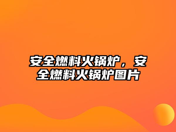 安全燃料火鍋爐，安全燃料火鍋爐圖片