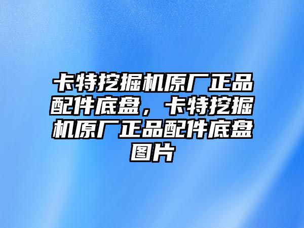 卡特挖掘機原廠正品配件底盤，卡特挖掘機原廠正品配件底盤圖片