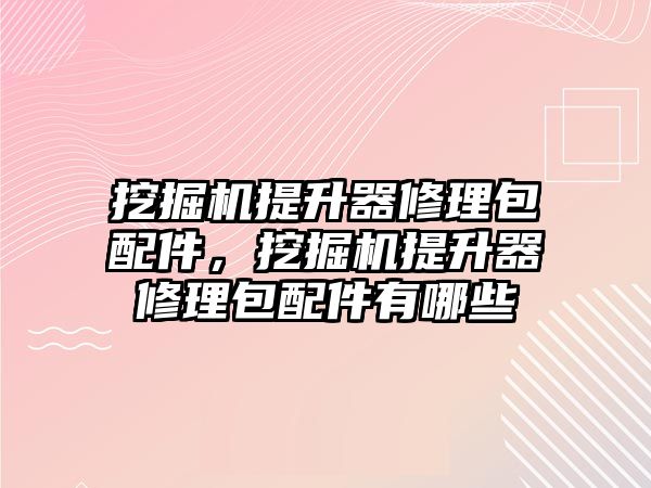 挖掘機提升器修理包配件，挖掘機提升器修理包配件有哪些