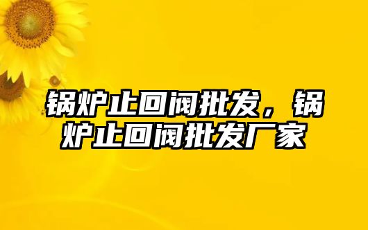 鍋爐止回閥批發(fā)，鍋爐止回閥批發(fā)廠家