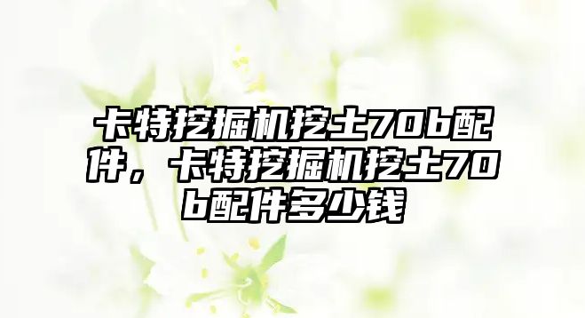 卡特挖掘機(jī)挖土70b配件，卡特挖掘機(jī)挖土70b配件多少錢