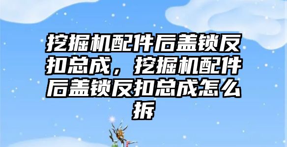 挖掘機(jī)配件后蓋鎖反扣總成，挖掘機(jī)配件后蓋鎖反扣總成怎么拆