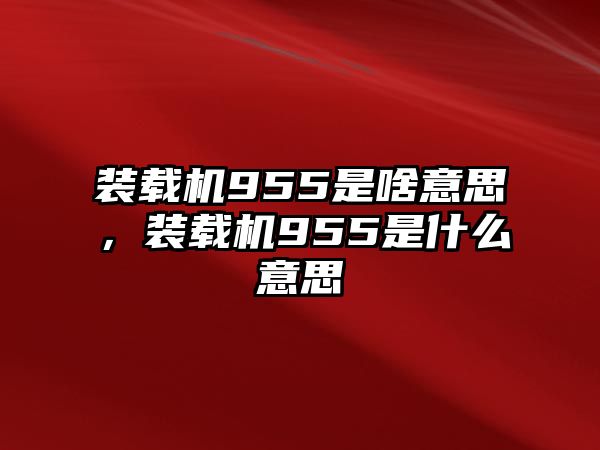 裝載機(jī)955是啥意思，裝載機(jī)955是什么意思