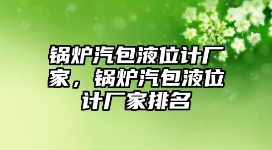 鍋爐汽包液位計(jì)廠家，鍋爐汽包液位計(jì)廠家排名