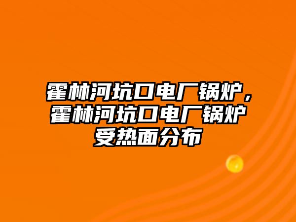 霍林河坑口電廠鍋爐，霍林河坑口電廠鍋爐受熱面分布