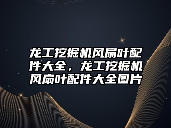 龍工挖掘機風(fēng)扇葉配件大全，龍工挖掘機風(fēng)扇葉配件大全圖片