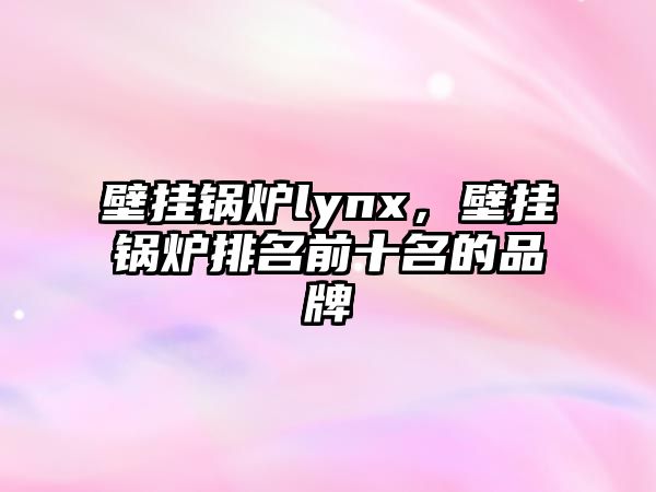 壁掛鍋爐lynx，壁掛鍋爐排名前十名的品牌