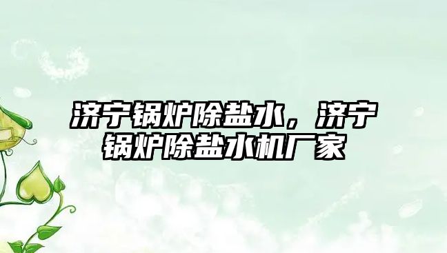 濟寧鍋爐除鹽水，濟寧鍋爐除鹽水機廠家