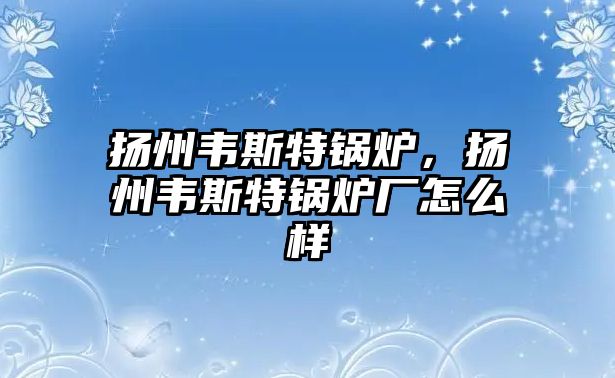 揚(yáng)州韋斯特鍋爐，揚(yáng)州韋斯特鍋爐廠怎么樣