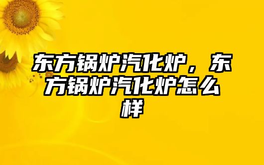 東方鍋爐汽化爐，東方鍋爐汽化爐怎么樣