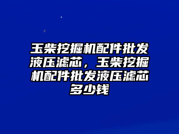 玉柴挖掘機配件批發(fā)液壓濾芯，玉柴挖掘機配件批發(fā)液壓濾芯多少錢