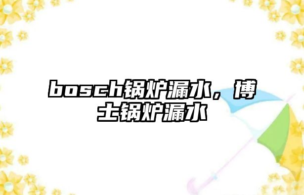 bosch鍋爐漏水，博士鍋爐漏水