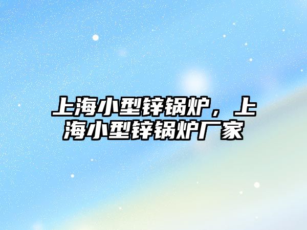 上海小型鋅鍋爐，上海小型鋅鍋爐廠(chǎng)家