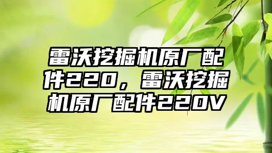 雷沃挖掘機原廠配件220，雷沃挖掘機原廠配件220V