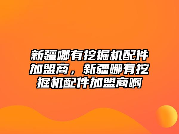 新疆哪有挖掘機(jī)配件加盟商，新疆哪有挖掘機(jī)配件加盟商啊