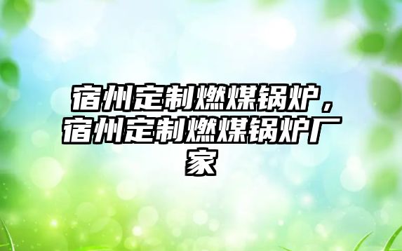 宿州定制燃煤鍋爐，宿州定制燃煤鍋爐廠家