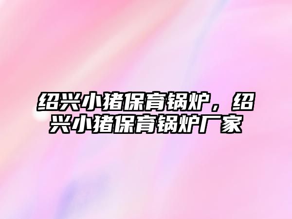 紹興小豬保育鍋爐，紹興小豬保育鍋爐廠家