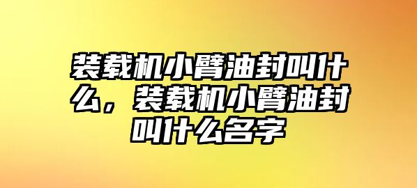 裝載機(jī)小臂油封叫什么，裝載機(jī)小臂油封叫什么名字