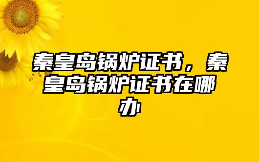 秦皇島鍋爐證書，秦皇島鍋爐證書在哪辦