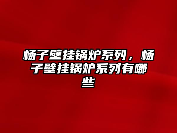 楊子壁掛鍋爐系列，楊子壁掛鍋爐系列有哪些