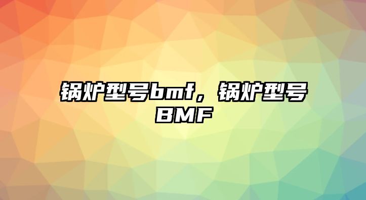 鍋爐型號bmf，鍋爐型號BMF