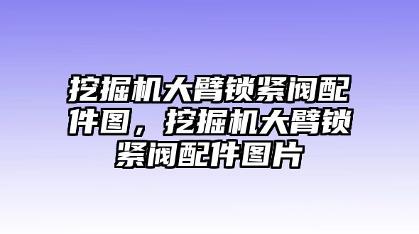 挖掘機大臂鎖緊閥配件圖，挖掘機大臂鎖緊閥配件圖片