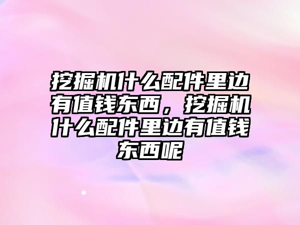 挖掘機(jī)什么配件里邊有值錢東西，挖掘機(jī)什么配件里邊有值錢東西呢