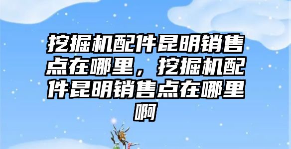 挖掘機配件昆明銷售點在哪里，挖掘機配件昆明銷售點在哪里啊