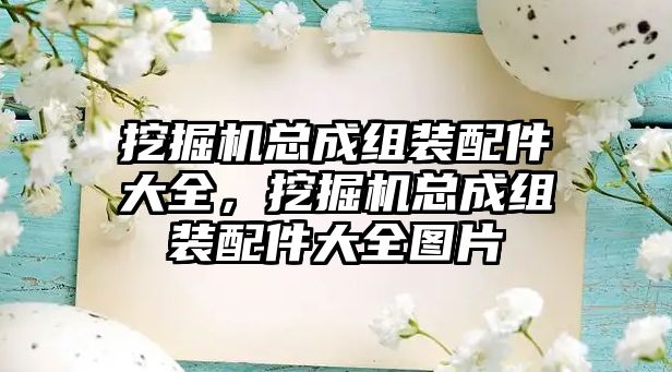 挖掘機總成組裝配件大全，挖掘機總成組裝配件大全圖片