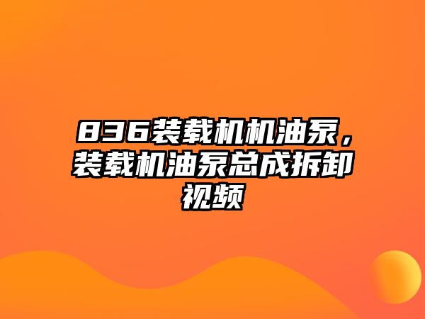 836裝載機(jī)機(jī)油泵，裝載機(jī)油泵總成拆卸視頻