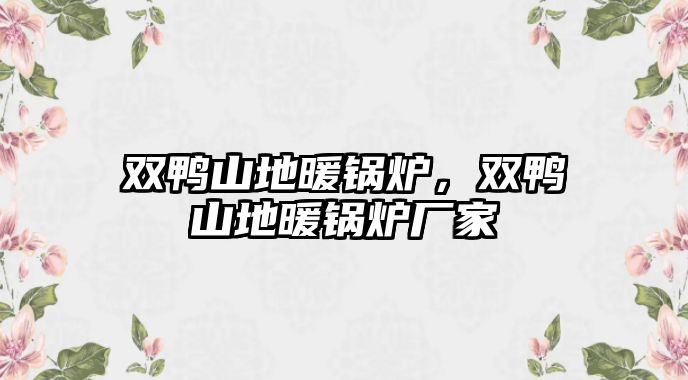 雙鴨山地暖鍋爐，雙鴨山地暖鍋爐廠家