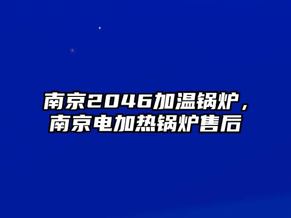 南京2046加溫鍋爐，南京電加熱鍋爐售后