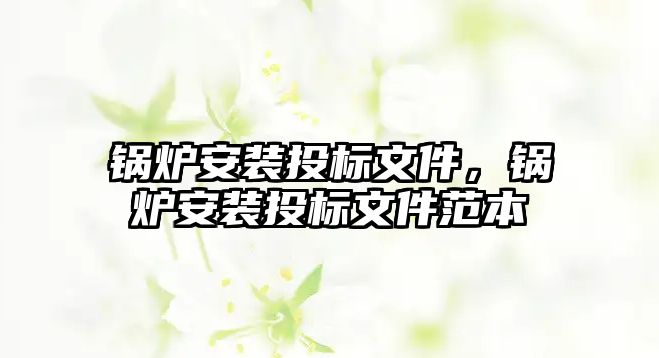 鍋爐安裝投標文件，鍋爐安裝投標文件范本