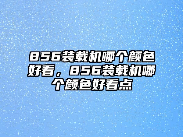 856裝載機哪個顏色好看，856裝載機哪個顏色好看點