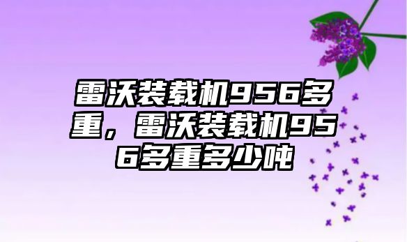 雷沃裝載機(jī)956多重，雷沃裝載機(jī)956多重多少噸