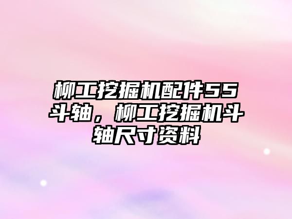 柳工挖掘機配件55斗軸，柳工挖掘機斗軸尺寸資料