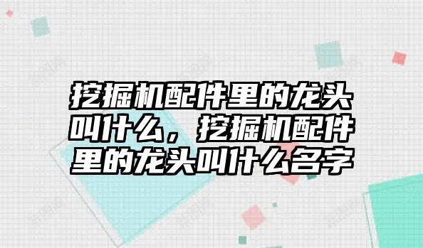 挖掘機(jī)配件里的龍頭叫什么，挖掘機(jī)配件里的龍頭叫什么名字