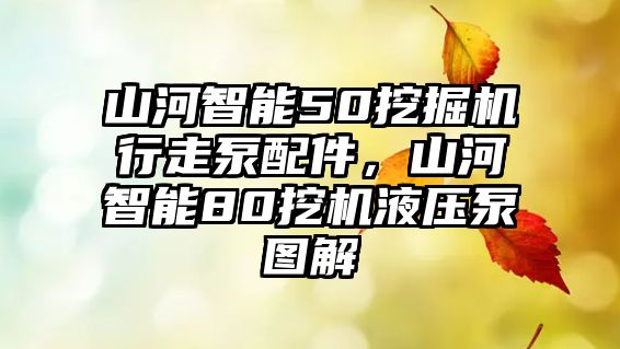 山河智能50挖掘機行走泵配件，山河智能80挖機液壓泵圖解