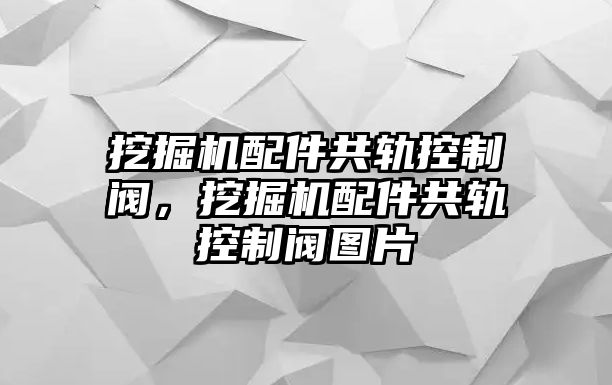 挖掘機(jī)配件共軌控制閥，挖掘機(jī)配件共軌控制閥圖片