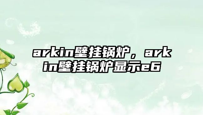 arkin壁掛鍋爐，arkin壁掛鍋爐顯示e6