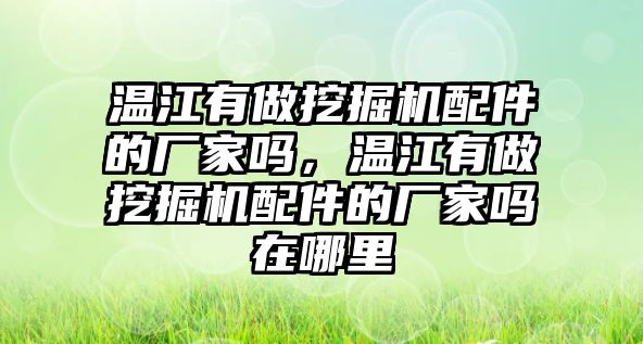 溫江有做挖掘機(jī)配件的廠家嗎，溫江有做挖掘機(jī)配件的廠家嗎在哪里