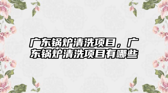 廣東鍋爐清洗項目，廣東鍋爐清洗項目有哪些