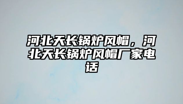 河北天長(zhǎng)鍋爐風(fēng)帽，河北天長(zhǎng)鍋爐風(fēng)帽廠家電話