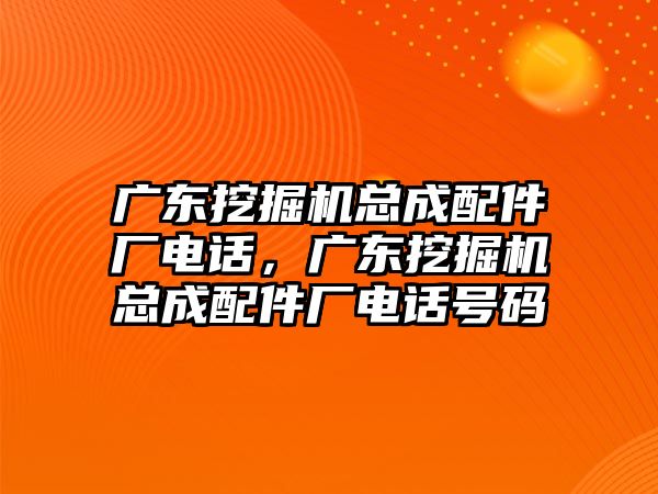 廣東挖掘機總成配件廠電話，廣東挖掘機總成配件廠電話號碼