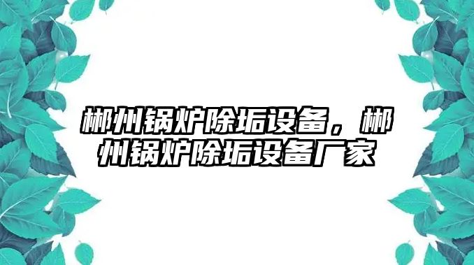 郴州鍋爐除垢設備，郴州鍋爐除垢設備廠家