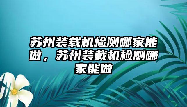 蘇州裝載機(jī)檢測(cè)哪家能做，蘇州裝載機(jī)檢測(cè)哪家能做