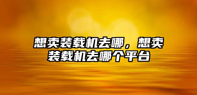 想賣裝載機(jī)去哪，想賣裝載機(jī)去哪個(gè)平臺(tái)