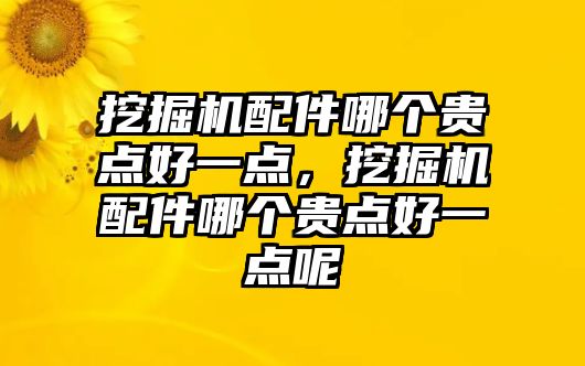 挖掘機配件哪個貴點好一點，挖掘機配件哪個貴點好一點呢