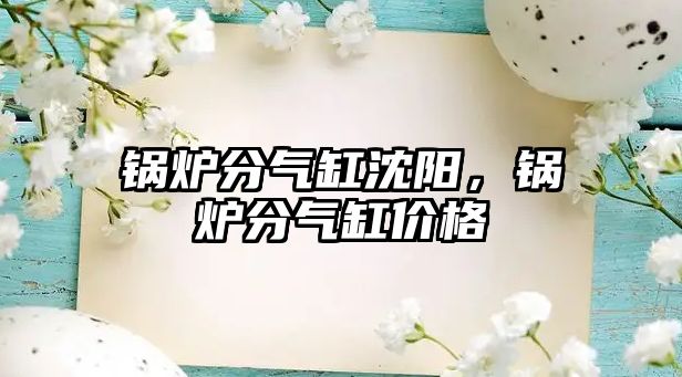 鍋爐分氣缸沈陽，鍋爐分氣缸價格